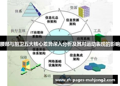 腰部与前卫五大核心差异深入分析及其对运动表现的影响