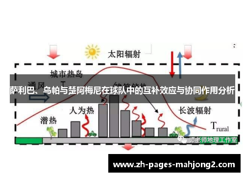 萨利巴、乌帕与楚阿梅尼在球队中的互补效应与协同作用分析