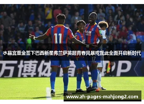 水晶宫重金签下巴西新星弗兰萨英超青春风暴或就此全面开启新时代 水晶宫重金签下巴西新星弗兰萨英超青春风暴或就此全面开启新时代